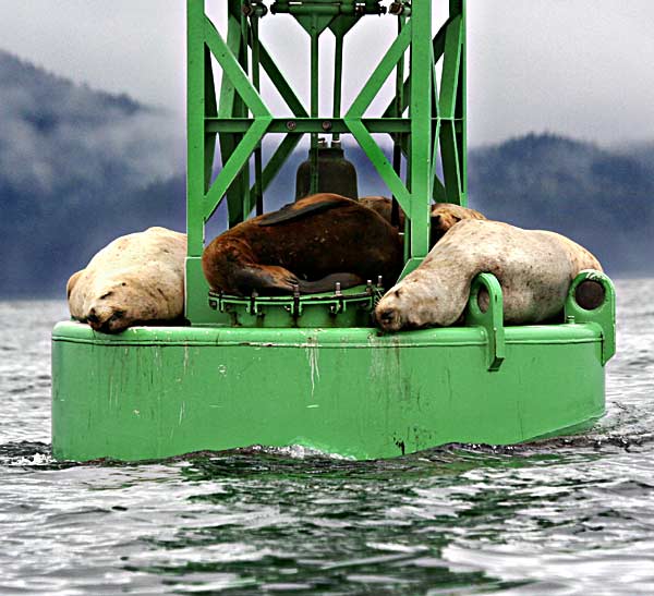 On the Buoy