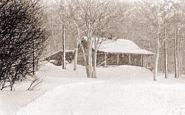 Trapp Cabin