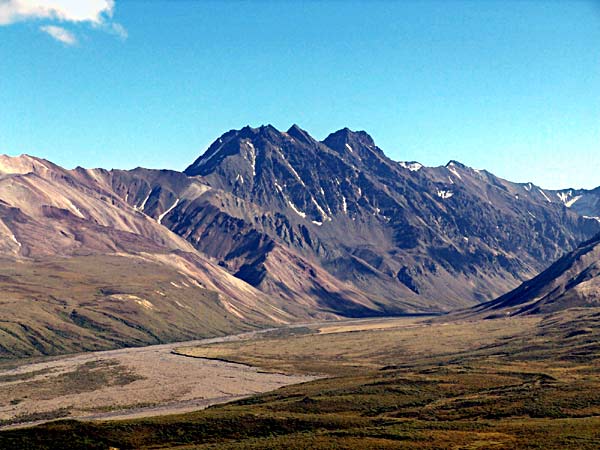 Denali Landscape