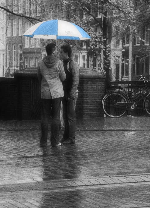 Shelter from the Rain