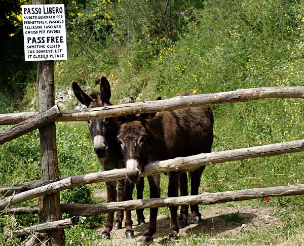 Passo Libero