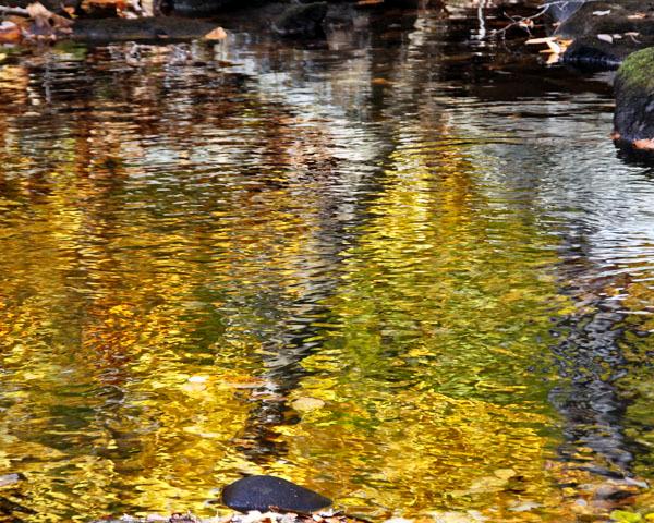 Autumn Reflection