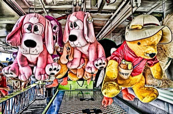 Stuffed Animals