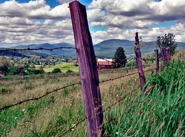 Fence