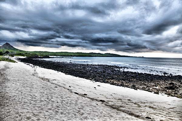 Galapagos Landscape