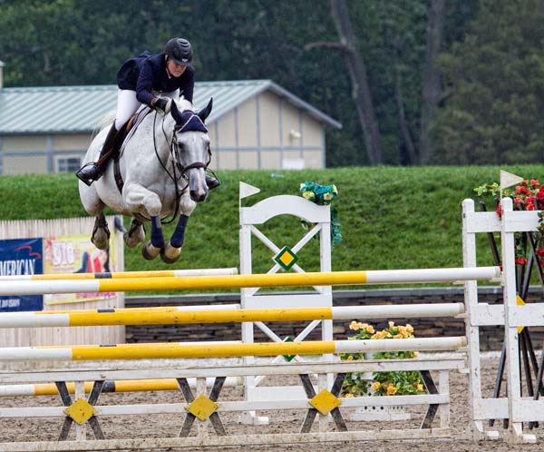 Flying Horses