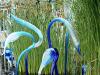Gardens and Glass #2