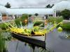 Chihuly and Water