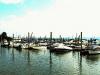 Along the Hudson
