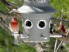 Bird Feeder