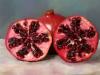 Sliced Pomegranate