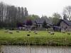 Near Edam