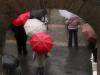 Red Umbrella