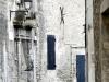 Cat in the Alley