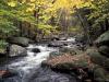 Autumn Stream