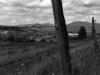 Vermont