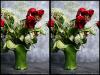 Rose Still Life