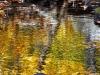 Autumn Reflection