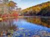 Autumn Refection