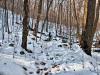 Path in the Snow