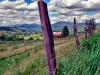 Fence