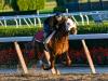 Breakfast at Belmont