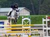 Flying Horses