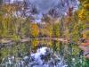 Autumn #2