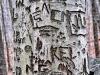 Carved in Wood