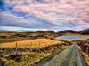 Rural Road