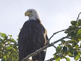 IMG_5738-01