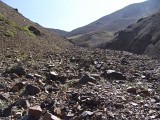DSC05561