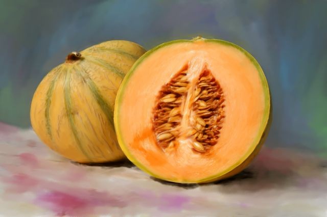 brazilmelon