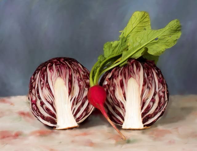 raddicchio-radish