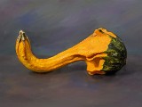 gourd3